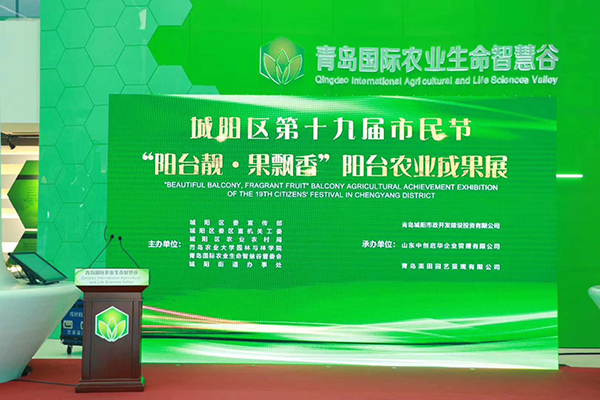 城阳区第十九届市民节圆满落幕